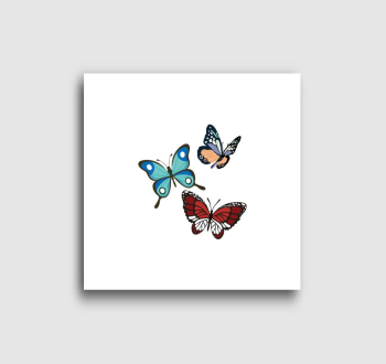 3 gyönyörű pillangós vászonkép