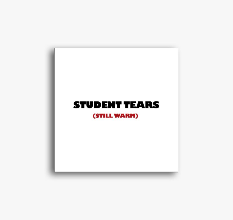 Student tears warm vászonkép