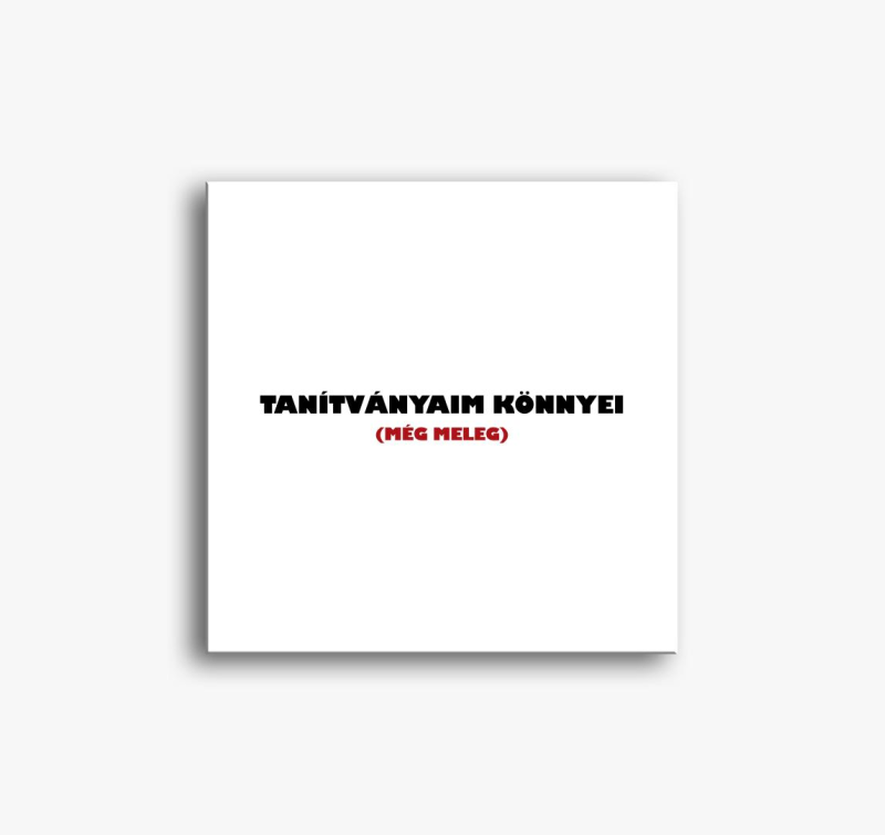 Tanítványaim könnyei vászonkép