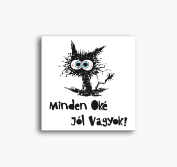 Oké cat vászonkép