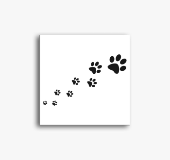 Tappancsok  vászonké