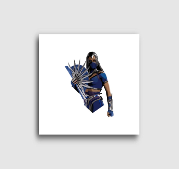 Mortal Kombat Kitana vászonkép