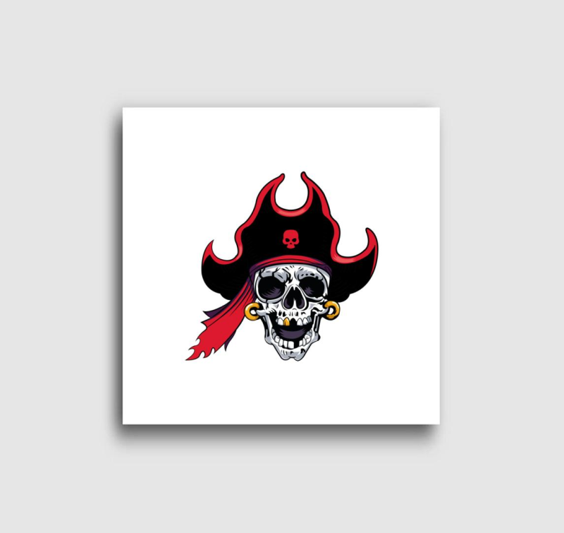 Pirate skull 7 vászonkép