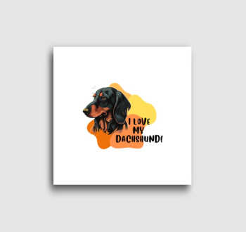 I love my dachshund vászonkép