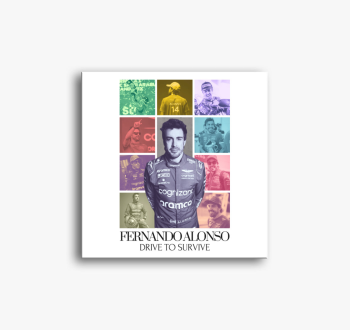 Fernando Alonso F1 v