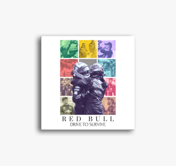 RedBull F1 2.0 vászo