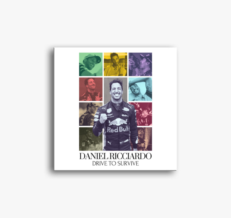 Daniel Ricciardo F1 vászonkép