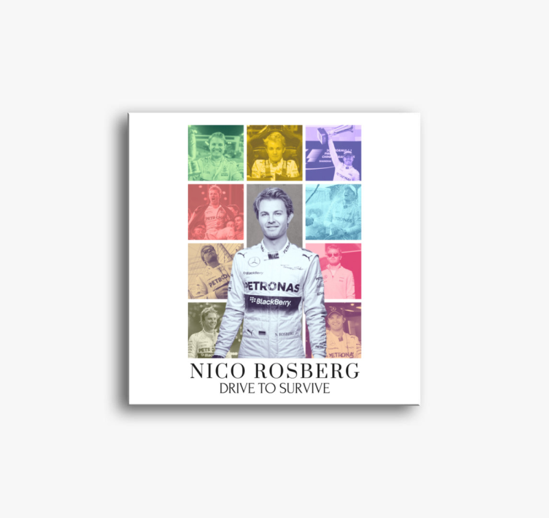 Nico Rosberg F1 vászonkép