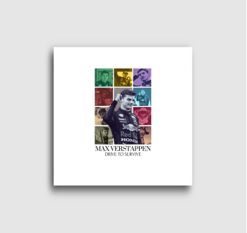 Max Verstappen F1 vá