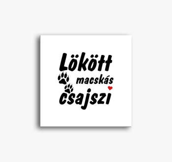 Lökött macskás csajs...