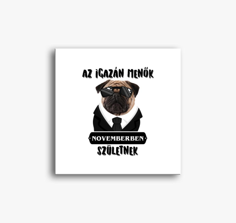 Az igazán menők novemberben születnek vászonkép