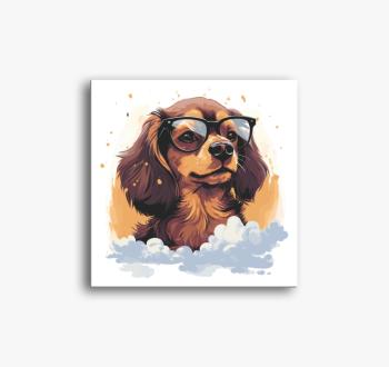 Tacsi szemüveges vás