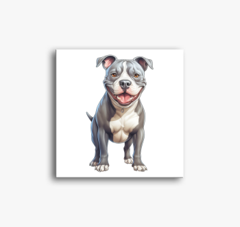 American Pitbull vás