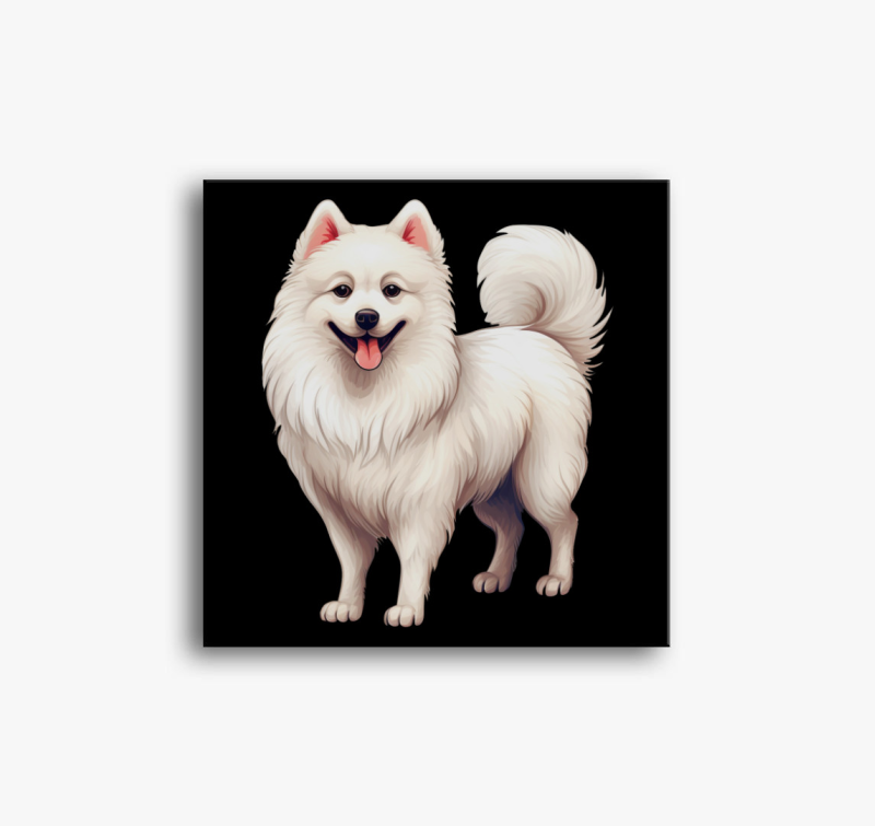 Japán spitz vászonkép