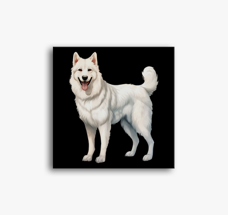 Fehér juhászkutya vászonkép