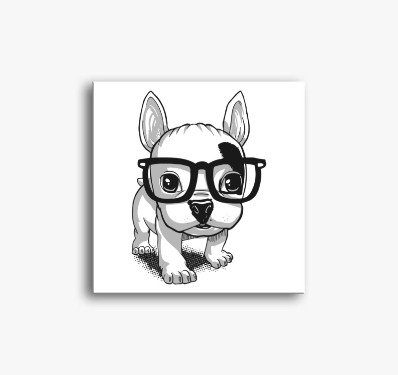 Frenchie puppy vászonkép