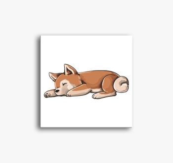 Akita shiba inu vász