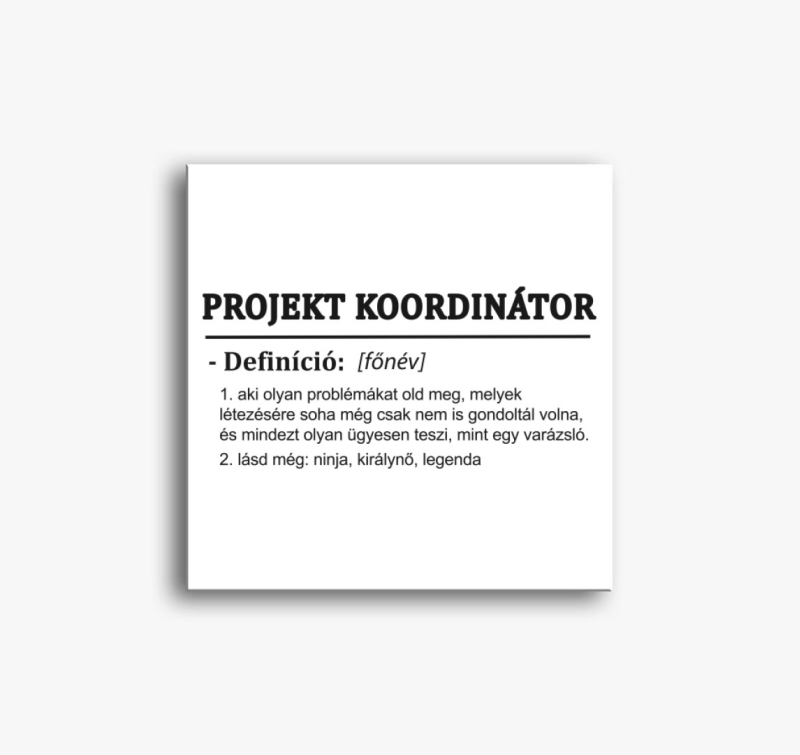 Projekt koordinátor vászonkép
