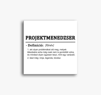 Projektmenedzser vás