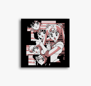 Sailor Moon - warrio...