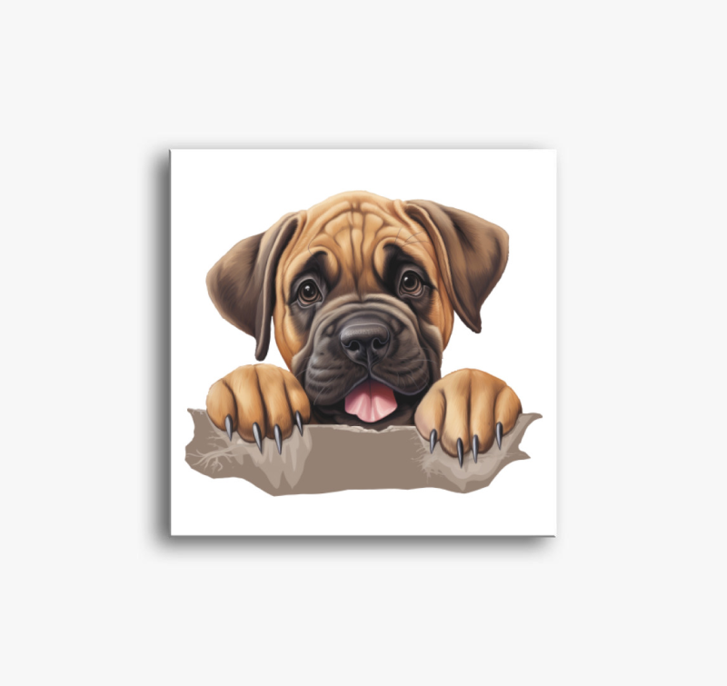 Kölyök masztiff vászonkép