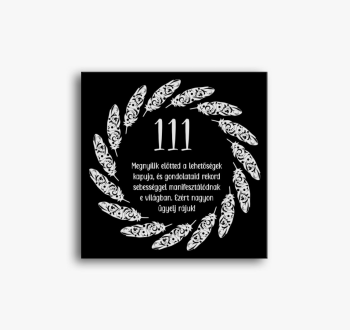 111 angyali szám vás
