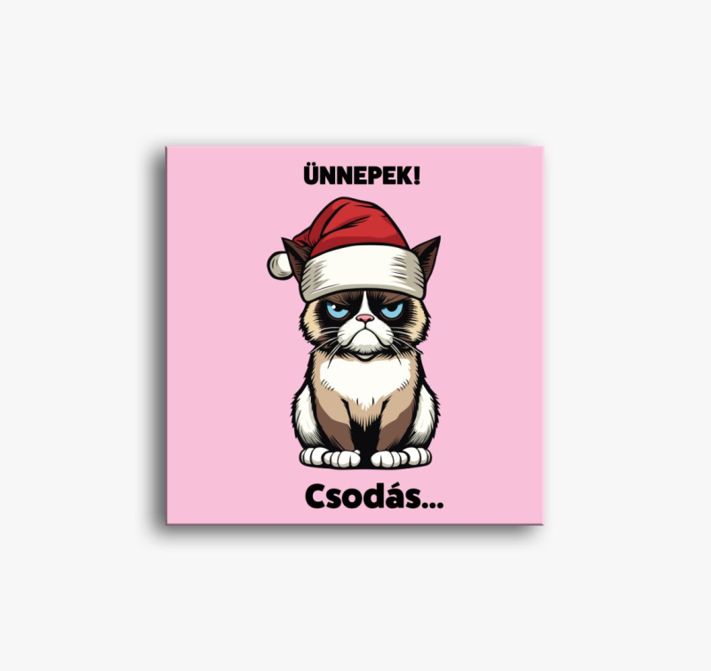Csodás grumpy cat vászonkép
