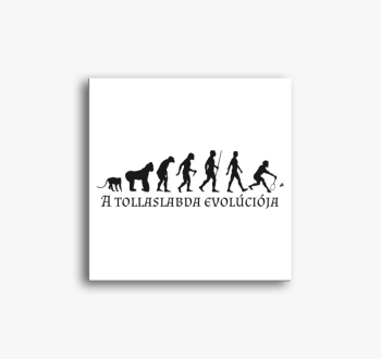 Tollaslabda evolúció...