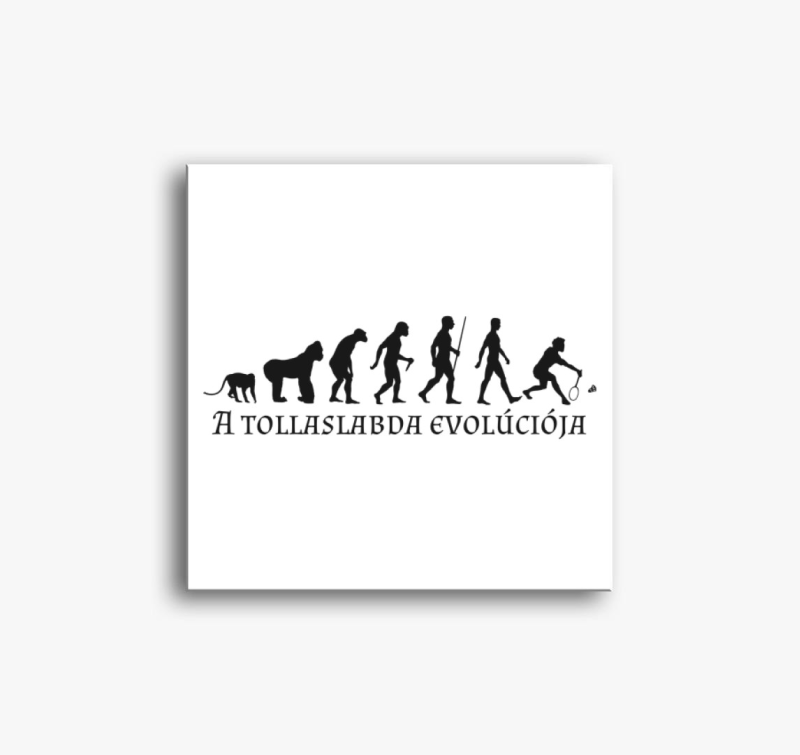 Tollaslabda evolúció vászonkép