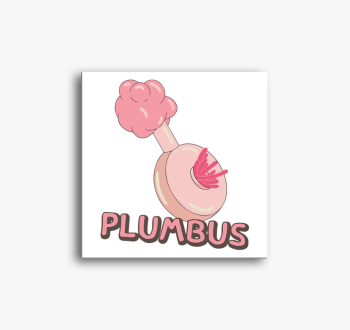 Plumbus vászonkép