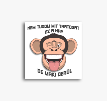 Maki derül - vidám majmos vászonkép