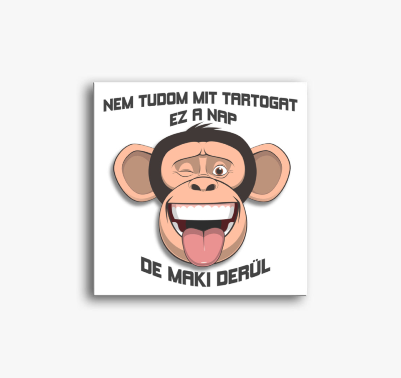 Maki derül - vidám majmos vászonkép