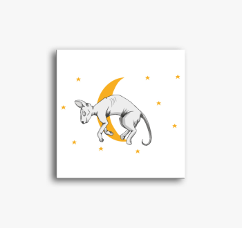 Szfinx macska vászon