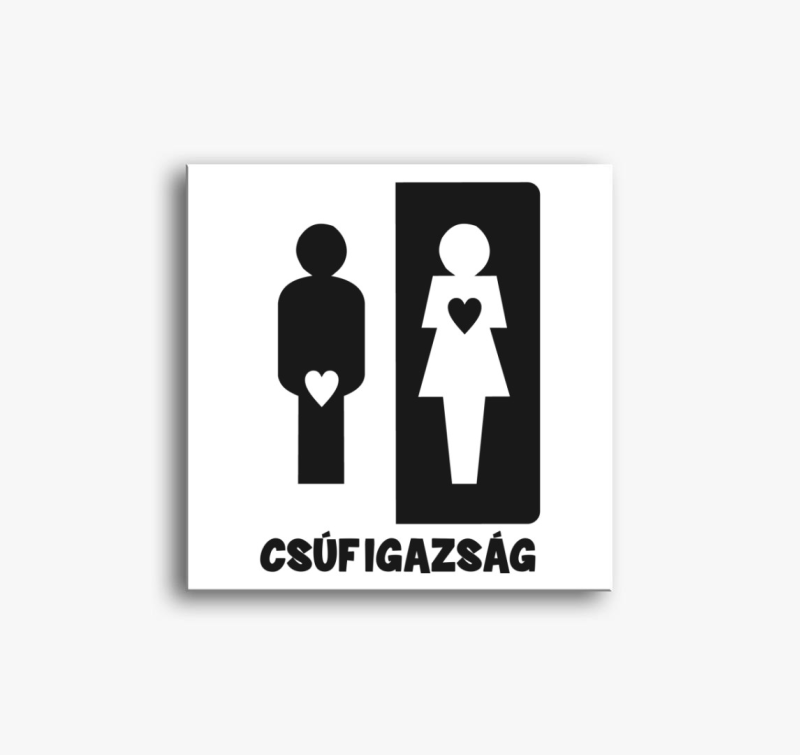 Csúf igazság vászonkép