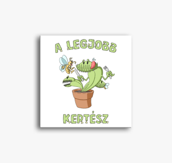 Legjobb kertész vász