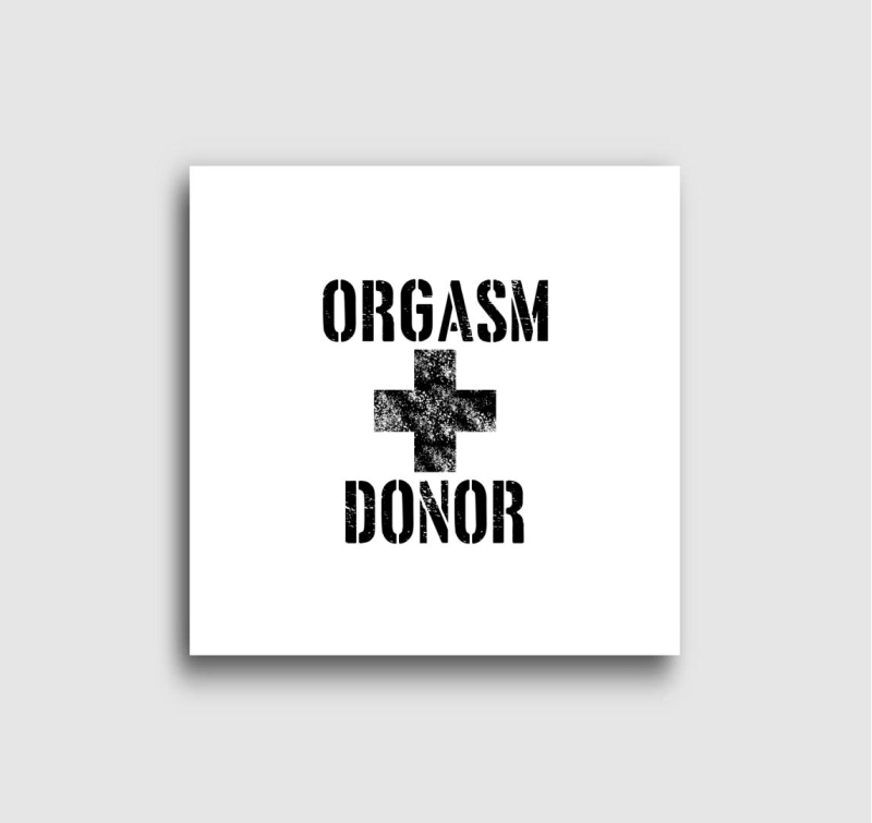 Amerikai pite orgasm donor vászonkép 