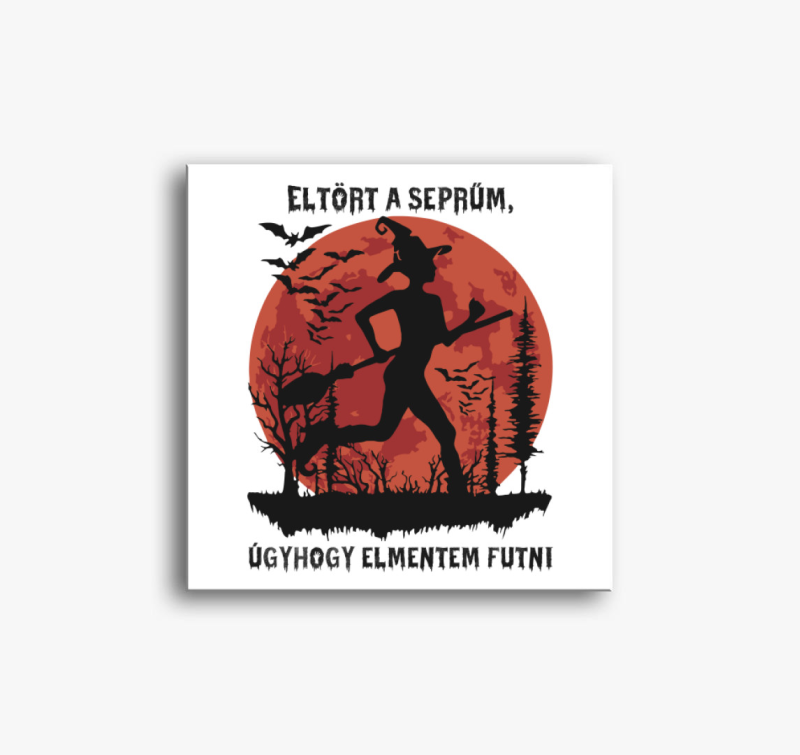 Eltört a seprűm, úgyhogy elmentem futni vászonkép