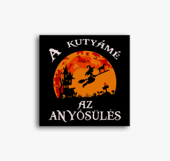 Kutyámé az anyósülés...
