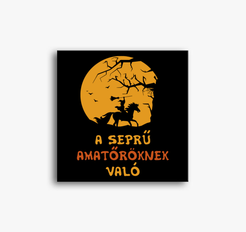 Profi boszorkány vászonkép