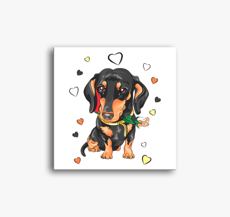 Rózsás tacskó vászonkép