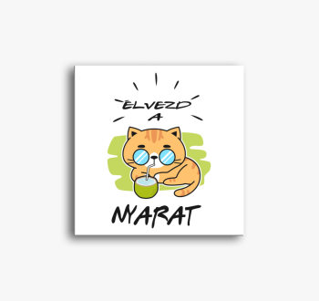 Nyaraló cicás vászon