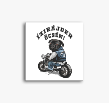 Motoros kutyás vászo