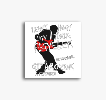  Gitáros vászonkép