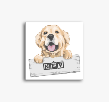 Golden retrieveres v...