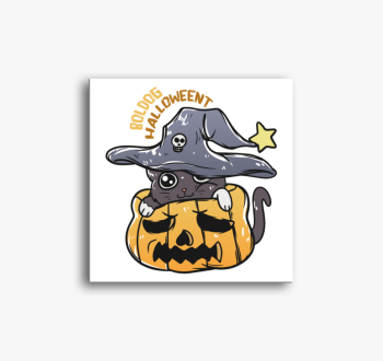 Cicás halloweeni vás