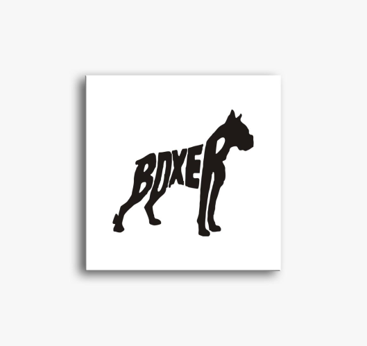 Boxer vászonkép