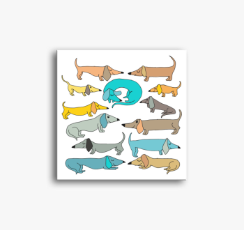 Tacskóból soha nem e...