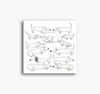 Tacskóból soha nem e...