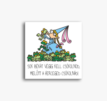 Vicces királylányos ...