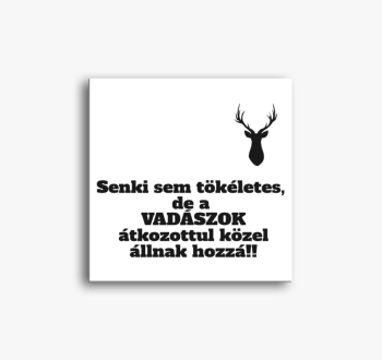 Tökéletes vadász vás...